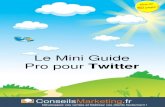 Mini Guide Pro pour Twitter