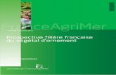 Prospective filière française du végétal d'ornement - Tome 2