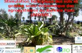 Stimulation biologique des sols et gestion socio-économique des ...