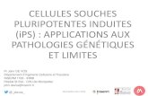 CELLULES SOUCHES PLURIPOTENTES INDUITES (iPS ...