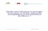 Etude microfinance et énergie : comment concilier efficacité ...