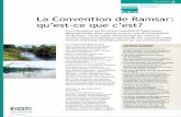 Fiche technique 6 : La Convention de Ramsar: qu'est-ce que c'est?