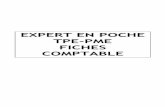 EXPERT EN POCHE TPE-PME FICHES COMPTABLE