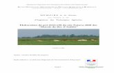 Pré-DOCOB du site Natura 2000 des Marais du Bec d'Ambès