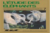 L'ETUDE DES ELEPHANTS