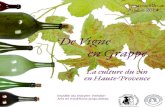 Catalogue d'exposition "De Vigne en Grappe"