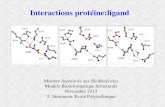 Interactions protéine:ligand