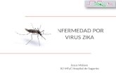 Virus zika-2016