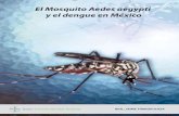El Mosquito Aedes aegypti y el dengue en México