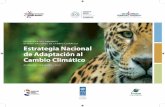 Estrategia Nacional de Adaptación al Cambio Climático