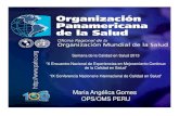 Calidad_y_Humanizacion - Dra Gomez OPS.pdf