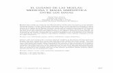 EL GUSANO DE LAS MUELAS: MEDiciNA y MAGiA SiMpAtéticA ...