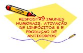 RESPOSTAS IMUNES HUMORAIS: ATIVAÇÃO DE LINFÓCITOS ...