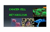 MED LEZ 37 CANCER CELL METABOLISM