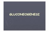 MED LEZ 20 MET AA Gluconeogenesi