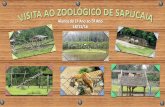 Visita zoo