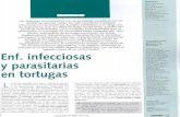 Enfermedades infecciosas y parasitarias en tortugas