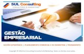 Sul Consulting - Consultoria & Marketing