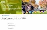 AnyConnect, NVM и AMP