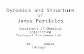 Dynamics and Structure of Janus Particles