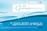 Demoware: Il riuso delle acque in agricoltura in Puglia