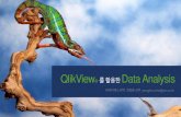 Data discovery   qlikview