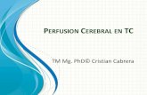 Perfusion cerebral EN TC