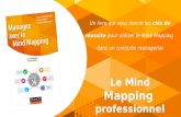 Livre Managez avec le Mind Mapping