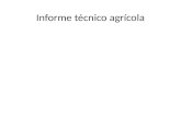 Informe técnico agrícola