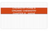 Organic Chemistry: Amine