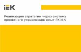 Александр Резниченко. Реализация стратегии через систему проектного управления: опыт ГК IEK