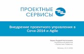 Андрей Бадин, Вндрение проектного управления в Сочи-2014 и Agile