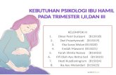 Kebutuhan psikologi ibu hamil pada trimester i,ii,dan iii