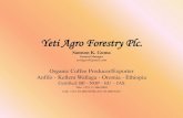 Yeti Agro Forestry Plc -presentation