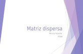 Matriz dispersa-2 (1)