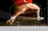 Biomecánica (parte 1)