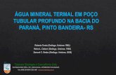 Água Mineral Termal em Poço Tubular Profundo na Bacia do Paraná, Pinto Bandeira -RS