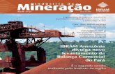 Indústria da Mineração nº 23