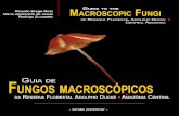 Guia de fungos macroscópicos da Reserva Ducke (preliminar)