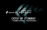 GTMF2016 catch up stingray