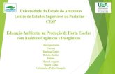 Educação ambiental na produção de Horta Escolar com resíduos ...