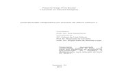 Título: Caracterização citogenética em acessos de Allium sativum L.