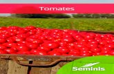Tomates - Seminis