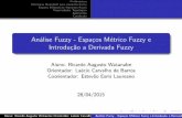 Análise Fuzzy - Espaços Métrico Fuzzy e Introduç˜ao a Derivada ...