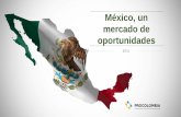 Oportunidades de Negocio en México