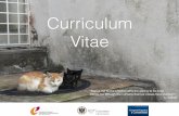 Curriculum Vitae - Esteban Romero (diciembre 2016)