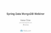 Spring Data MongoDB Webiner