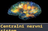 Centralni nervni sistem-mozak