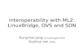 [OpenStack 하반기 스터디] Interoperability with ML2: LinuxBridge, OVS and SDN