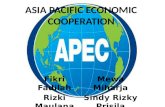 Asia Pacific Economic Cooperation (APEC)
